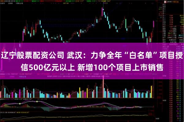 辽宁股票配资公司 武汉：力争全年“白名单”项目授信500亿元以上 新增100个项目上市销售