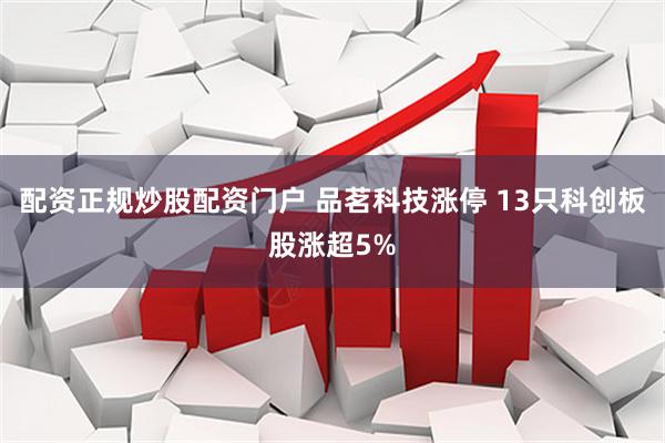 配资正规炒股配资门户 品茗科技涨停 13只科创板股涨超5%