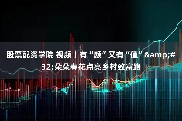 股票配资学院 视频丨有“颜”又有“值” 朵朵春花点亮乡村致富路