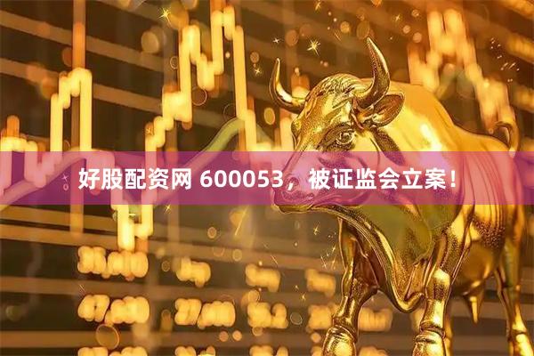 好股配资网 600053，被证监会立案！